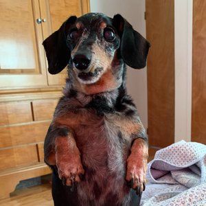 Meet your Posher, Olivia